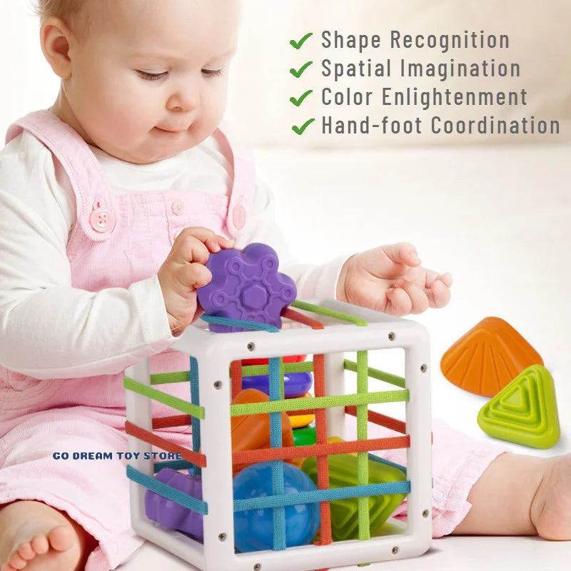Blocks Educational Colorful