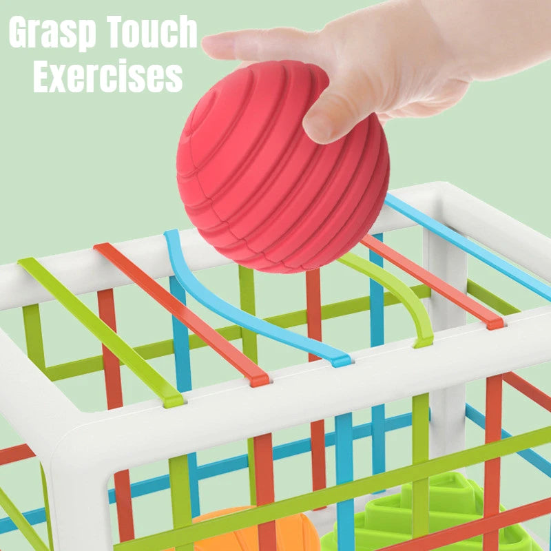Blocks Educational Colorful