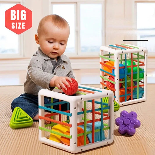 Blocks Educational Colorful